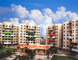 disha real estate