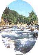 Pahalgam River