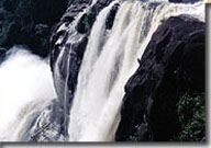 Kubhavurutty Waterfalls