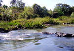 kuruva river