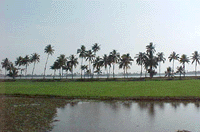 Alappuzha