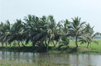 Alappuzha