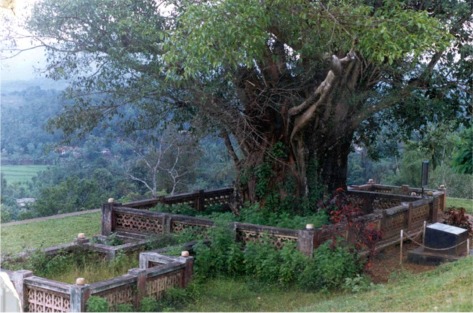 Pazhasi tomb