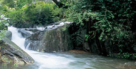 Soojipara falls