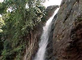 Chethalayam Falls