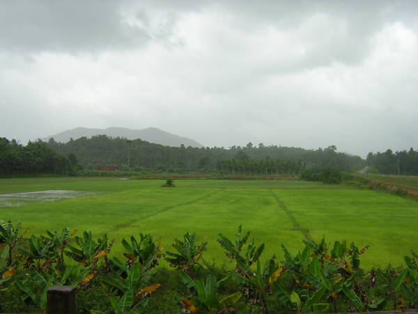 Wayanad